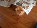 Flop en Spook  _06-05-11_20